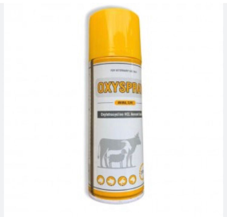 Oxyspray antibiotic wound spray Pawsmart.ng